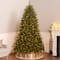 7.5 ft. Pre-Lit Dunhill® Fir Artificial Christmas Tree, Clear Lights